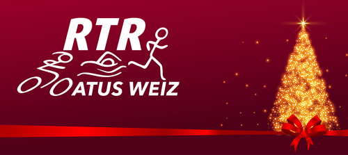 Seasonal christmas tree sparkle banner with red ribbon