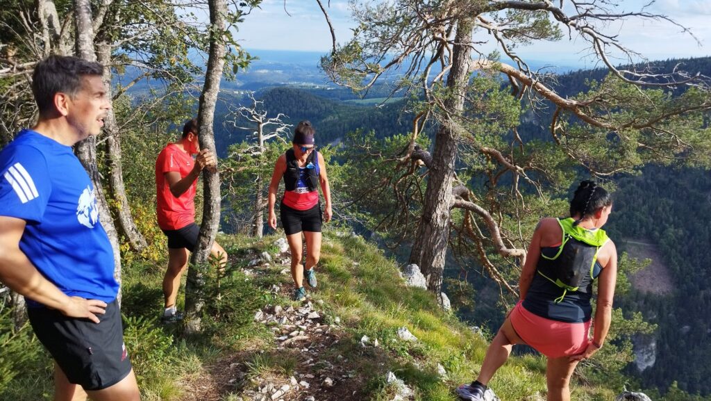 Laufen -rtr-weiz-IMG_20260903_173950--1024x577-Start in die herbstliche Laufsaison