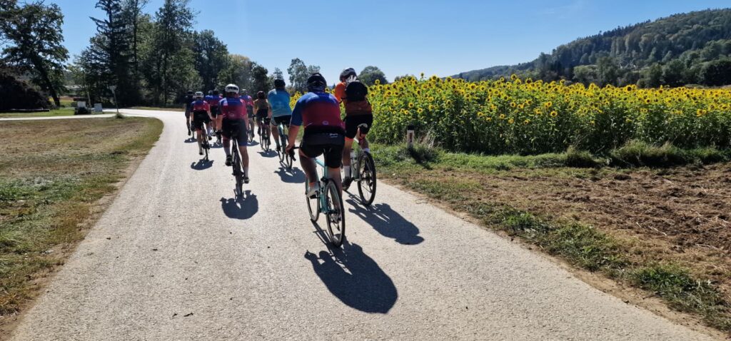 Rennrad und MTB -rtr-weiz-WhatsApp-Image-2026-10-04-at-1dfsdfs5.48.42-1024x478-Jedermann-Genusstour – das ridearound Weiz 2026