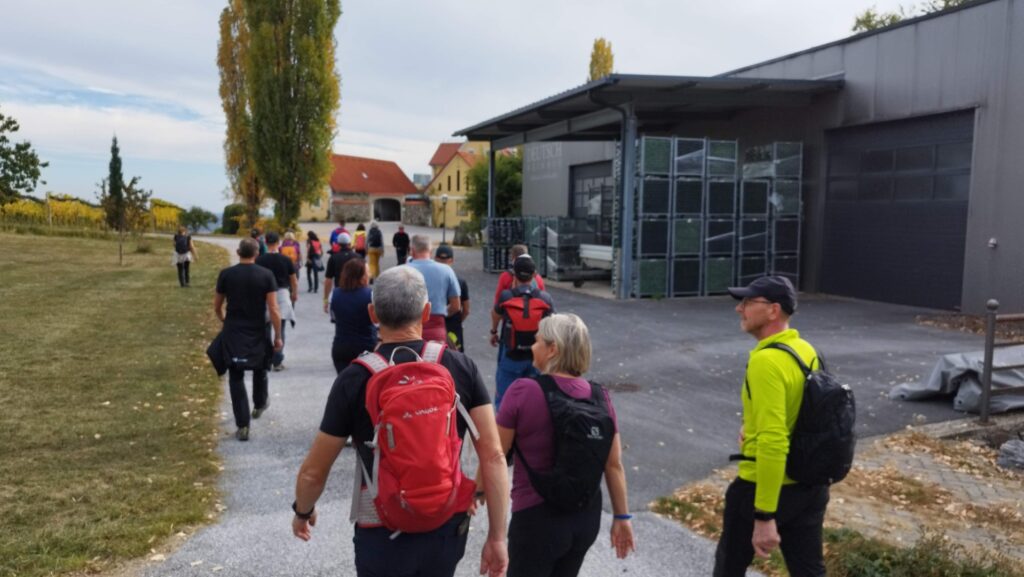 Allgemein -rtr-weiz-rtr-atus-weiz-1-cityrun-6-IMG_20261017_143141--1024x577-Wanderung für den CityRun