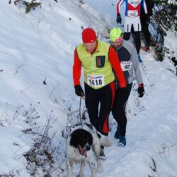 -rtr-weiz-128560237-Fotogalerie