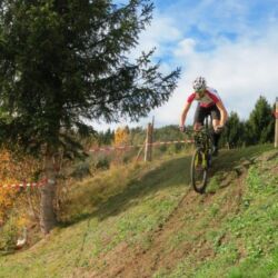 -rtr-weiz-4260239393-Fotogalerie
