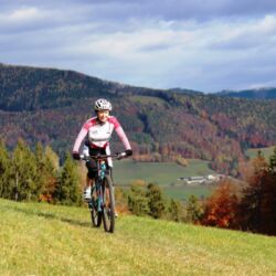 -rtr-weiz-384502436-Fotogalerie