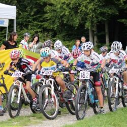 -rtr-weiz-3896341245-Fotogalerie