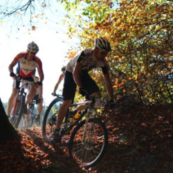 -rtr-weiz-1191738302-Fotogalerie