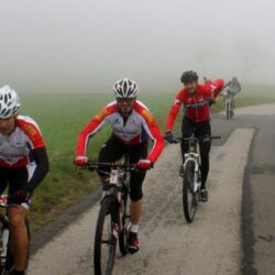 -rtr-weiz-62337555-Fotogalerie