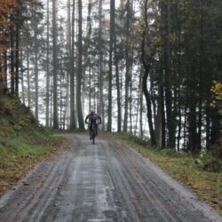 -rtr-weiz-1432609329-Fotogalerie