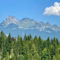 -rtr-weiz-1037243453-Fotogalerie