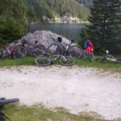 -rtr-weiz-3153792611-Fotogalerie