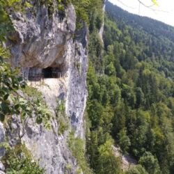-rtr-weiz-2504734970-Fotogalerie