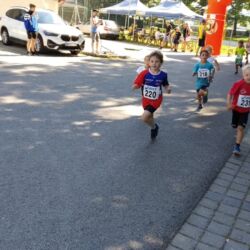 -rtr-weiz-3018689335-Fotogalerie