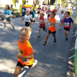 -rtr-weiz-915565138-Fotogalerie