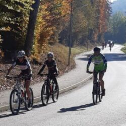 -rtr-weiz-2120372003-Fotogalerie