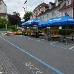 -rtr-weiz-1939214552-Fotogalerie