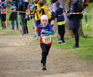 -rtr-weiz-4196680259-Fotogalerie