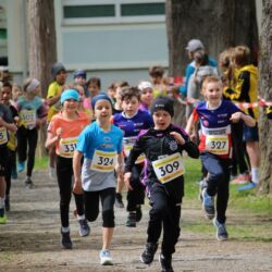 -rtr-weiz-3185551162-Fotogalerie