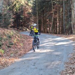 -rtr-weiz-2586987966-Fotogalerie