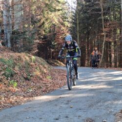 -rtr-weiz-1427432268-Fotogalerie