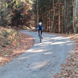 -rtr-weiz-2927689661-Fotogalerie