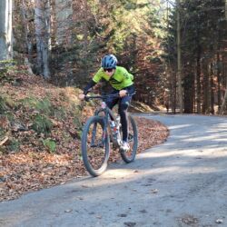 -rtr-weiz-4174516774-Fotogalerie
