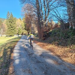-rtr-weiz-1244132134-Fotogalerie