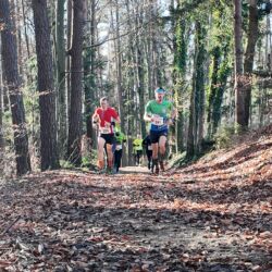 -rtr-weiz-3476099838-Fotogalerie