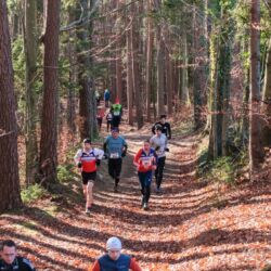 -rtr-weiz-2100554401-Fotogalerie