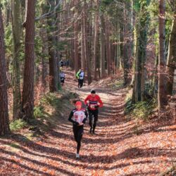 -rtr-weiz-2606162743-Fotogalerie