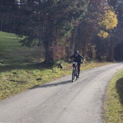 -rtr-weiz-130912774-Fotogalerie