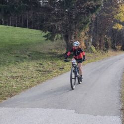 -rtr-weiz-738610789-Fotogalerie