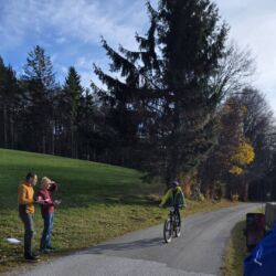 -rtr-weiz-1043640782-Fotogalerie