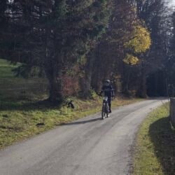 -rtr-weiz-3384411364-Fotogalerie