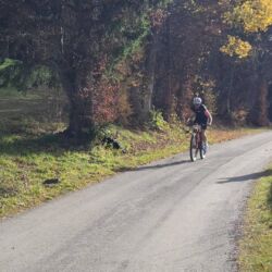 -rtr-weiz-2649507695-Fotogalerie