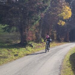 -rtr-weiz-865497265-Fotogalerie