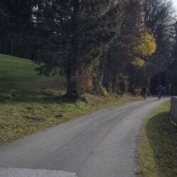 -rtr-weiz-3540711045-Fotogalerie