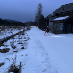 -rtr-weiz-3005035671-Fotogalerie